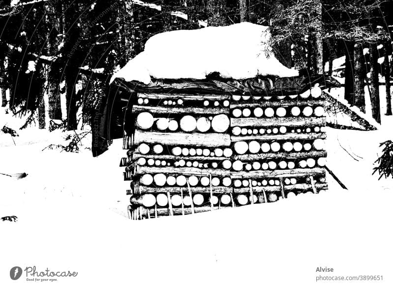 Symmetrien in den Wäldern mit Schnee ein Natur im Freien Wald Hintergrund Holzstapel Kiefer Brennholz Winter Baum Totholz natürlich hölzern Material Landschaft
