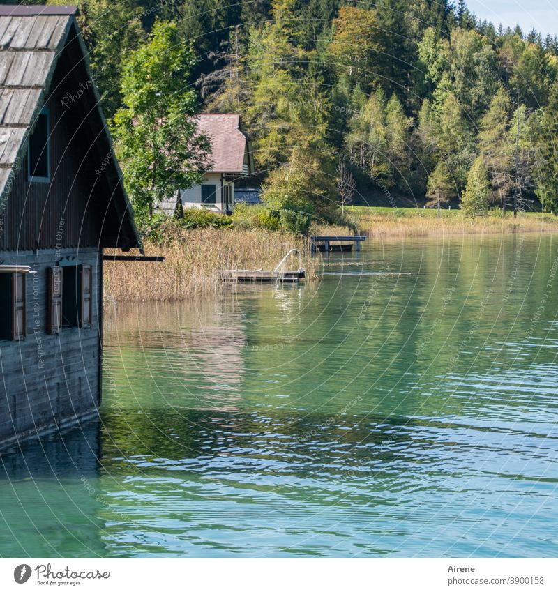weit weg vom Alltagstrott See Seeufer ruhig Einsamkeit Wasser Bootshaus Hütte Holzhaus Idylle Natur Erholung Ferien & Urlaub & Reisen beschaulich Sommer