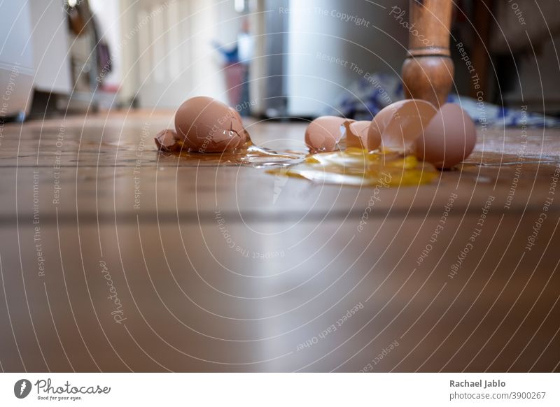 Zerbrochene Eier auf Holzboden Eierschale Lebensmittel Frühstück Detailaufnahme zerbrochenes Ei Küche Hühnerei Innenaufnahme Farbfoto Ernährung