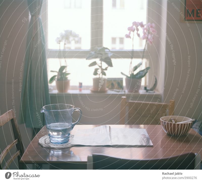 Wasserkrug vor dem Fenster mit Orchideen Krug blau Morgenlicht Ruhe Farbfoto sonnig Sonnenlicht Pflanzen Schalen & Schüsseln Küche Frühstück