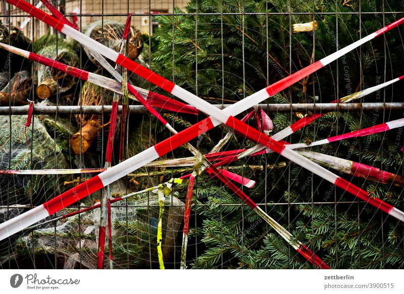 Weihnachtsbaum hinter Flatterband nadelbaum weihnachtsbaum christbau advent weihnachtszeit netz verpackung verschnürt verpackt transport festgebunden gurt