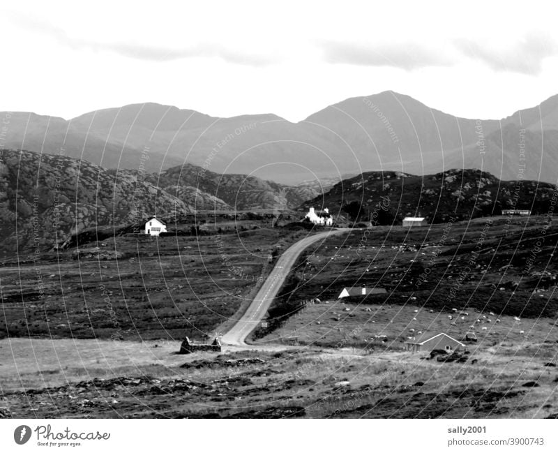 Nachbarschaften | mit Entfernung... Landschaft Häuser Weite Schottland Siedlung Berge u. Gebirge Highlands Großbritannien wandern Einsamkeit Außenaufnahme Natur