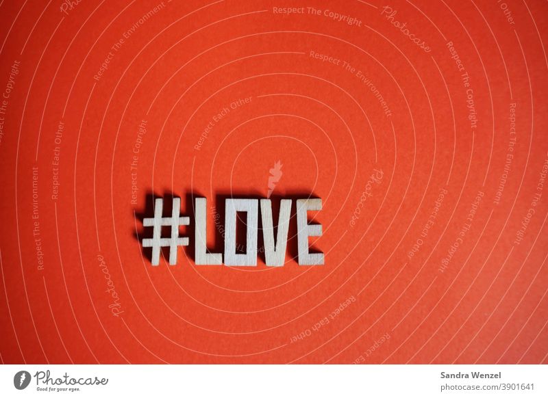Das Wort "LOVE" in Buchstaben mit Hashtag # Liebe geliiebt Valentinstag Amor Techtelmechtel wahre Liebe Liebende Sex Partnerschaft Leben Fröhlichkeit
