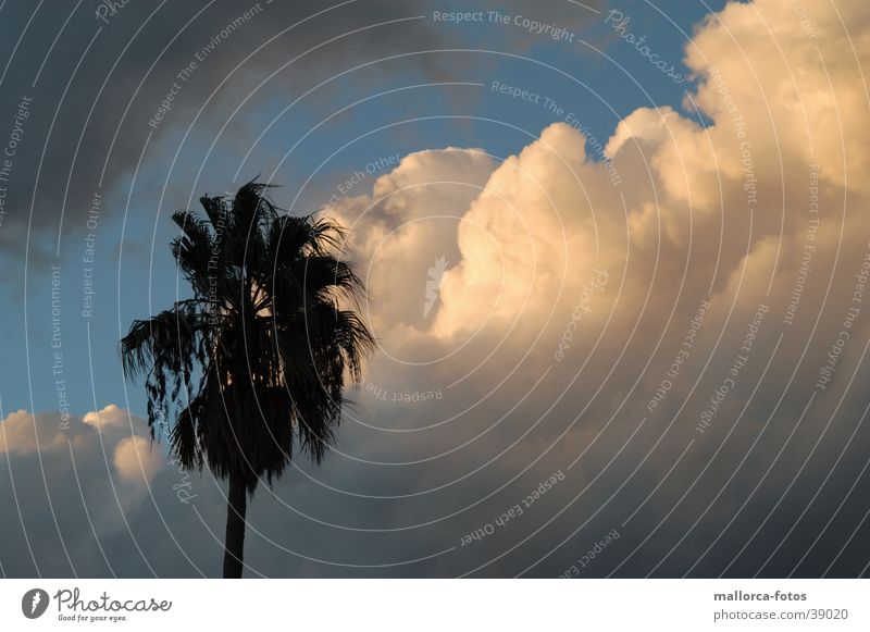 Kurz vor dem Sturm Palma de Mallorca Wolken Unwetter Wind