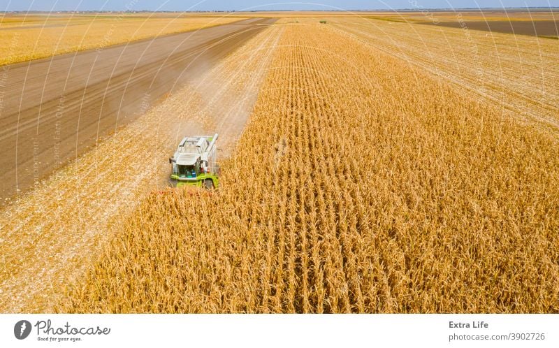 Ansicht von oben auf Mähdrescher, Erntemaschine, erntereifen Mais landwirtschaftlich Ackerbau Agronomie Müsli Kornfeld Land kultiviert Bodenbearbeitung