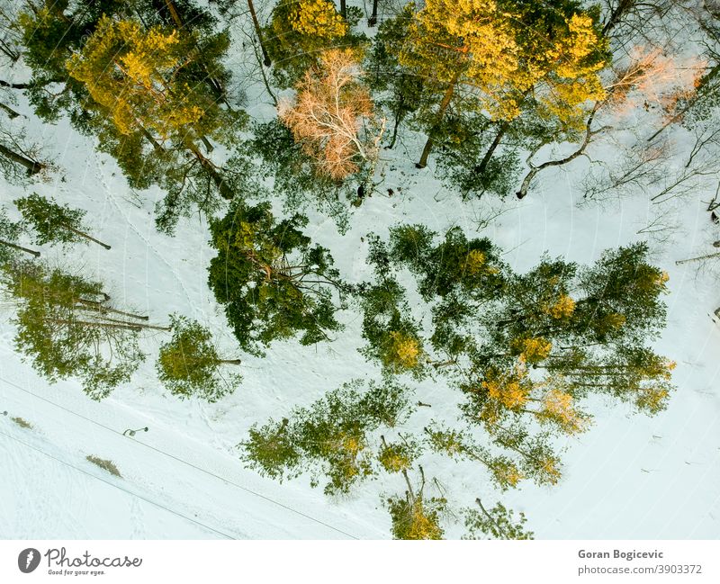 Luftaufnahme in Divcibare, Serbien oben Antenne kalt Landschaft divcibare Umwelt Europa Wald Frost gefroren Boden Hochland Hügel Hügelseite Licht maljen