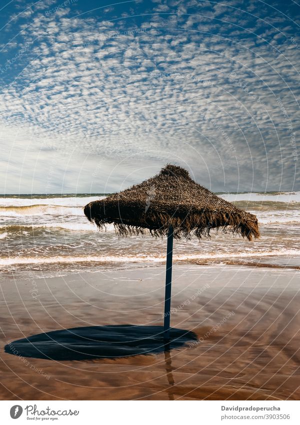 Einsamer Strohschirm am Meeresufer Regenschirm MEER Strand Sommer behüten Blauer Himmel Paradies Sand exotisch Urlaub reisen Natur Tourismus idyllisch Ufer