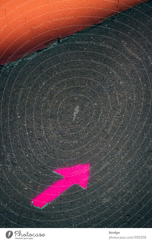 da lang Wege & Pfade leuchten ästhetisch außergewöhnlich rosa schwarz Bewegung Ziel Pfeil 1 richtungweisend markant Fußweg Asphalt Schilder & Markierungen