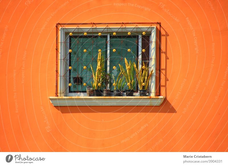 Minimalistisches Foto eines Fensters an einer orangefarbenen Wand minimalistische Architektur Fenster an orangefarbener Wand orangefarbene Wand