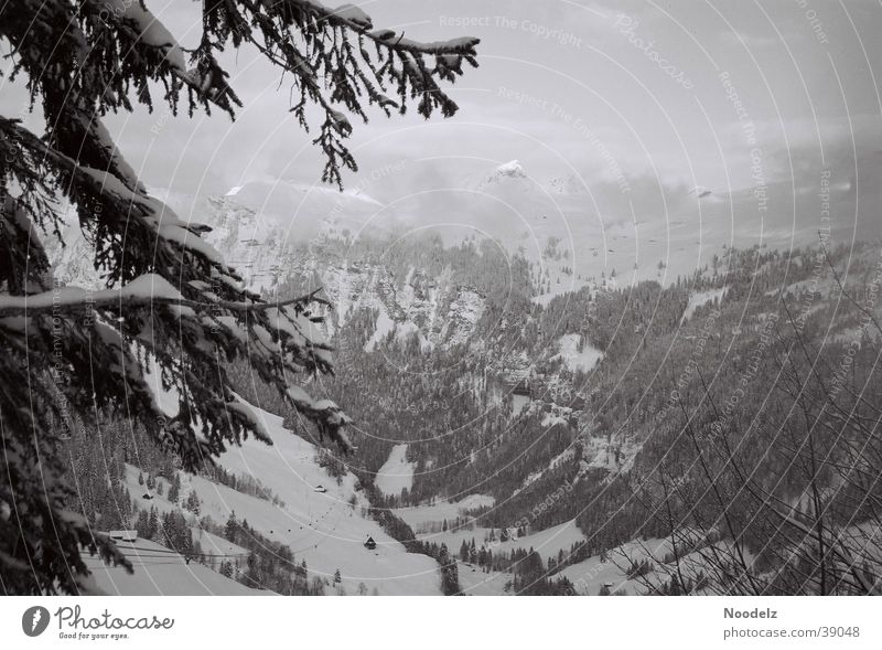 Dark n Dust Winter Nebel Hoch-Ybrig Berge u. Gebirge Schnee Schwarzweißfoto