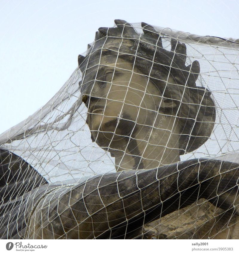 gefangen... geschützt... Statue Skulptur Kopf Frauenkopf Göttin Netz engmaschig Schutz Überwurf schützen Sicherheit Denkmal Stein historisch Bildhauerei Gesicht
