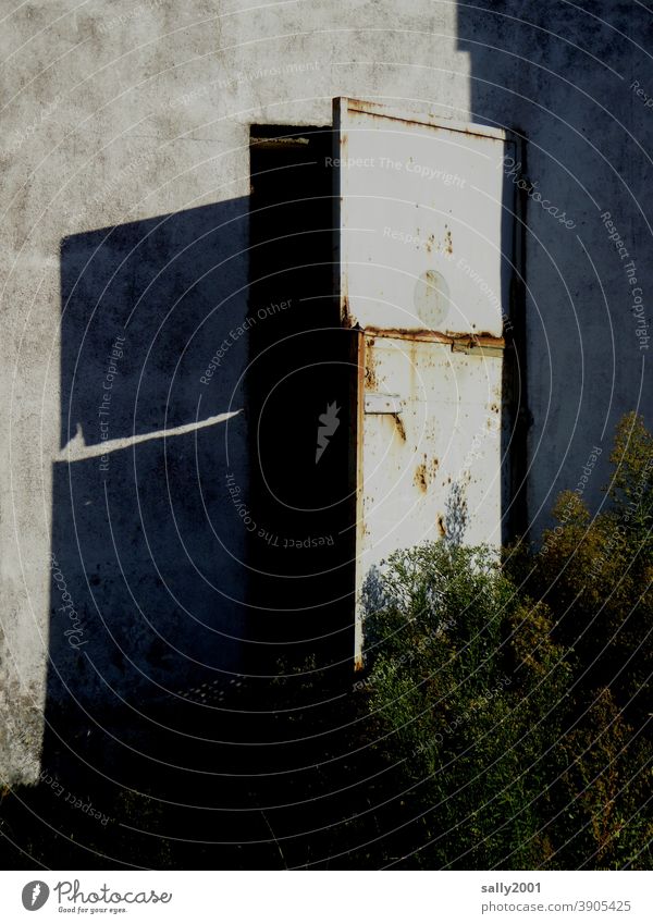 come in... Tür Tor alt Rost geheimnisvoll Krimi Busch Außenaufnahme Metall Vergänglichkeit Schatten kaputt offen halboffen verlassen Industrieanlage Lagerhalle