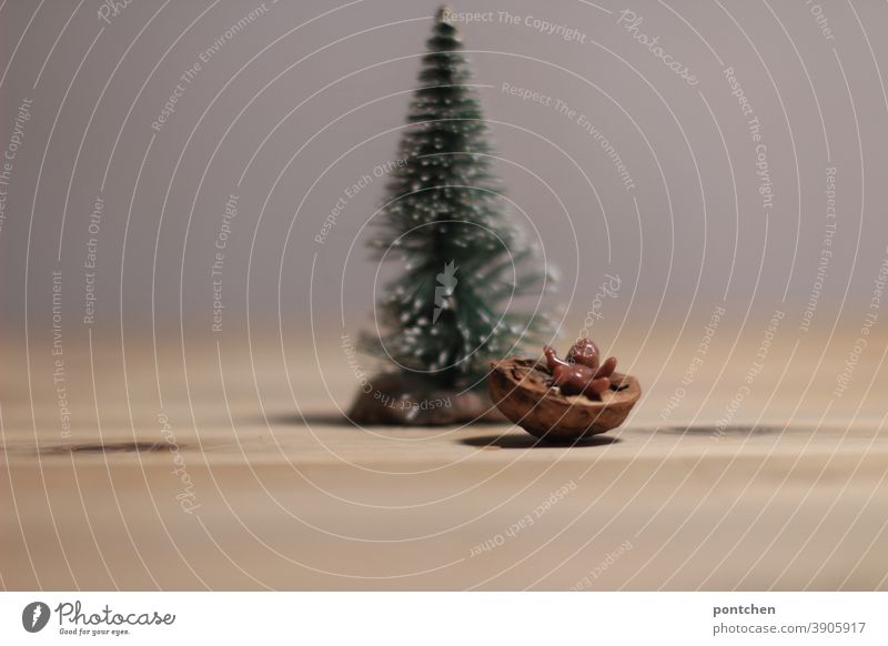 Ein Schwarzes Jesuskind liegt in einer Krippe aus einer Walnussschale vor einem Tannenbaum. Weihnachten Weihnachtsdekoration Weihnachtsbaum festlich Tradition