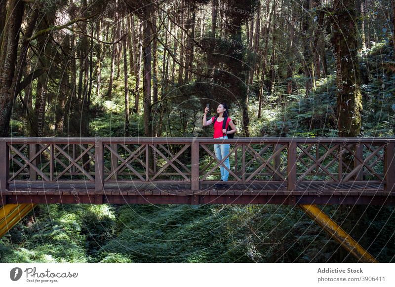 Frau stehend auf Holzbrücke im Wald Reisender Wälder Tourist Brücke Natur fotografieren Smartphone reisen Alishan-Gemeinde Taiwan Sommer Feiertag Tourismus