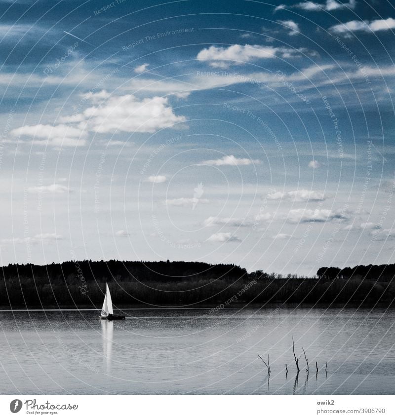Ins Weite Bootsfahrt Segelboot blau Glück Küste Farbfoto Sonnenlicht Landschaft Wasser Luft Himmel Wolken Natur Umwelt Wind Schönes Wetter Bewegung elegant