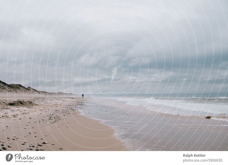 Wanderer am Strand der Nordsee in Dänemark Meer Sturm Urlaub digital Ferien Reisen Landschaft Küste Natur Wolken Wellen