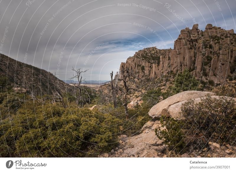 Skurile Felsformationen Tiefe Ferne Weite Horizont Felsen Steine Schlucht Landschaft Natur Trails Wanderwege Wege und Pfade Wolken Urlaub & Reisen USA Arizona