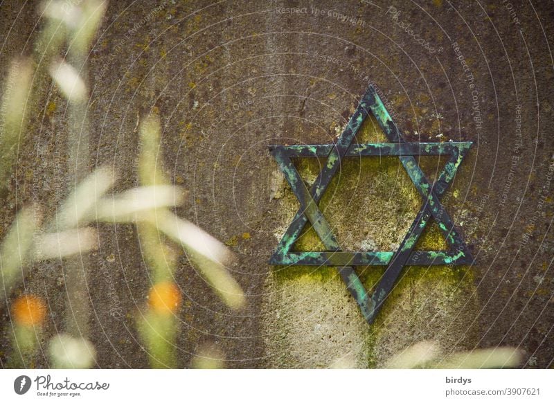 jüdischer Davidstern auf einem Grabstein auf einem jüdischen Friedhof Judentum Religion & Glaube Trauer Gedenken verwittert symbol Schwache Tiefenschärfe Gräser