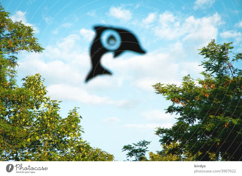 ein Delphin springt durch die Wolken. Delfin als Dekoration an einem Fenster Himmel Bäume sinnbildlich Phantasie freundlich Freiheit Symbolbild