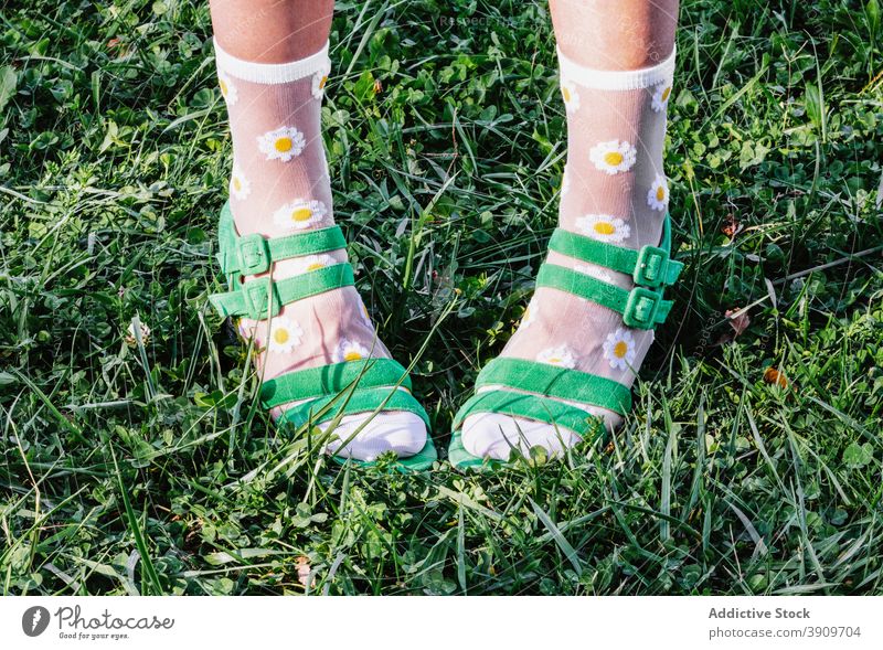 Crop Frau in lustigen transparenten Socken und Sandalen Kniestrümpfe Stil trendy Schuhe Blume drucken Kamille grün Rasen Sommer sonnig Wiese Gras Natur Mode