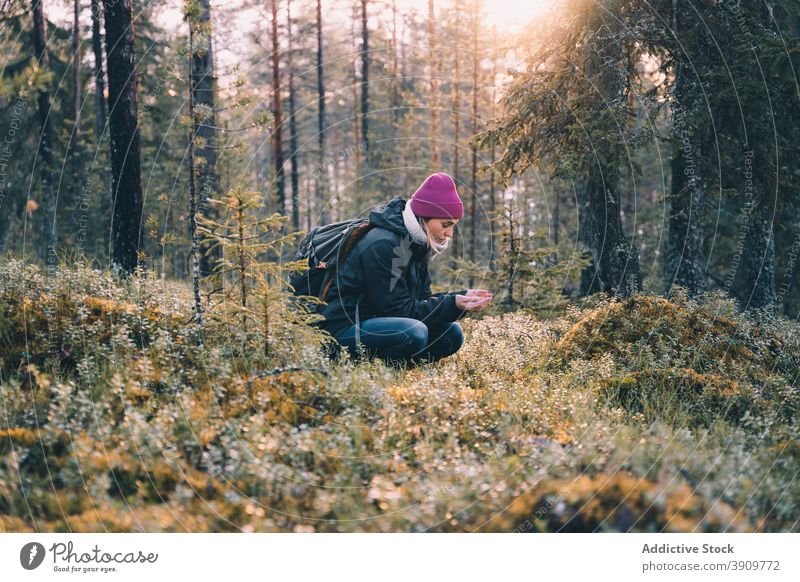 Weiblicher Reisender im Wald am Morgen Frau Wälder Entdecker reisen Pflanze erkunden Winter Sonnenaufgang kalt Saison Umwelt Ausflug Feiertag