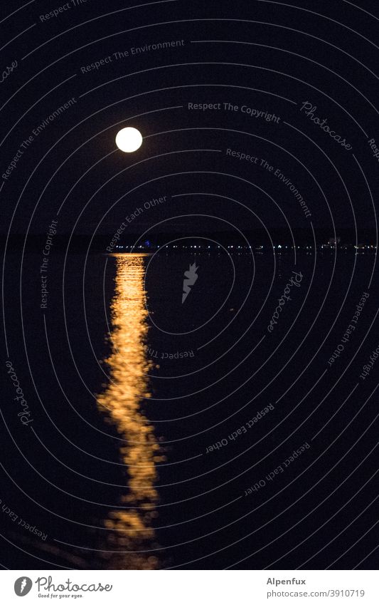 Aufgangssperre missachtet Mond Mondschein Mondaufgang Vollmond Nacht Himmel Außenaufnahme Menschenleer dunkel Nachthimmel Farbfoto Natur Horizont Silhouette