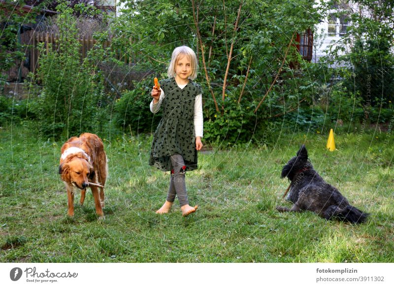 Mädchen spielt mit zwei Hunden im Garten Mensch mit Hund Haushund spielen zusammen Hundetraining tiergestuetzte Therapie haustier bester freund Zusammenhalt