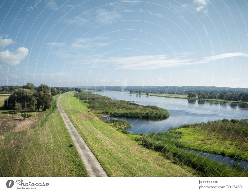 Aussicht auf den Fluss (Oder) Wolken Landschaft Sommer Schönes Wetter Wiese Damm Ferne authentisch Horizont Flussufer Kulturlandschaft Grenzgebiet Polen