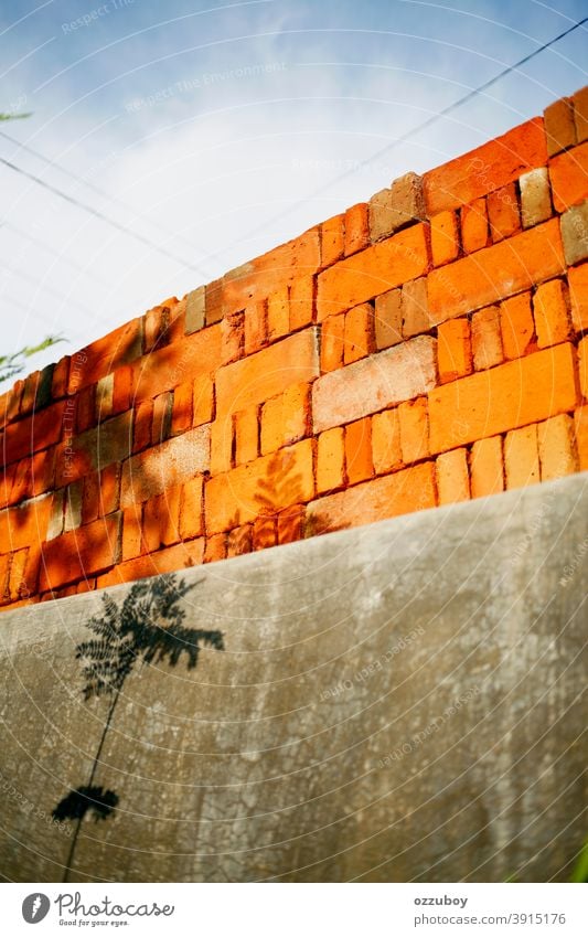 Ziegelwand mit Schatten von Pflanzen Baustein Maurerhandwerk rot Hintergrund Klotz Mauerwerk Muster Oberfläche Textur Wand braun Gebäude Beton Stein breit