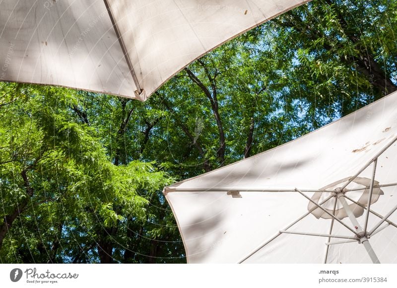 Sonnenschirme Baum Himmel Schönes Wetter Sommer sonnenschutz Erholung Ferien & Urlaub & Reisen Zufriedenheit Lebensfreude Gastronomie Biergarten
