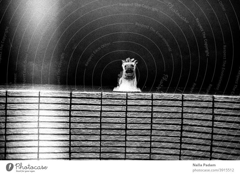 Pferdekopf analog Analogfoto Schwarzweißfoto Plastik Hauseingang Steine Froschperspektive Außenaufnahme skurril herabsehend herabschauen Ruhrgebiet