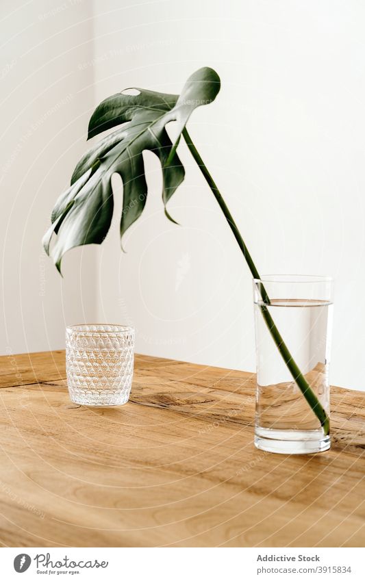 Grüne Pflanze in Vase auf Tisch Fensterblätter Wasser Glas sehr wenige Innenbereich Vorbau hölzern Stil natürlich einfach Design frisch Dekoration & Verzierung