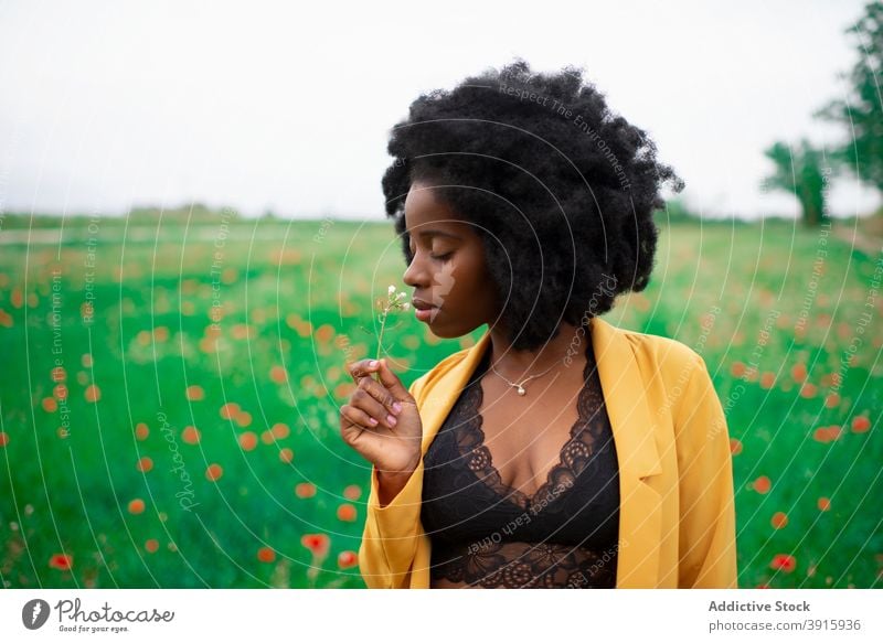 Ethnische Frau in heller Kleidung riecht Blume im Feld riechen Frühling farbenfroh Blütezeit Natur jung lebhaft gelb Afroamerikaner schwarz ethnisch Lifestyle