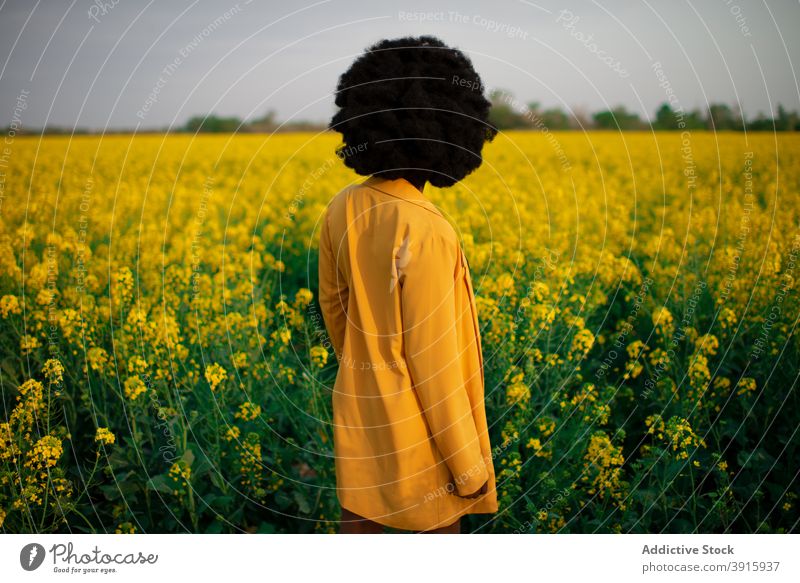 Schwarze Frau stehend im blühenden gelben Feld Blume farbenfroh pulsierend besinnlich hell Blütezeit jung Afroamerikaner schwarz ethnisch Afro-Look krause Haare
