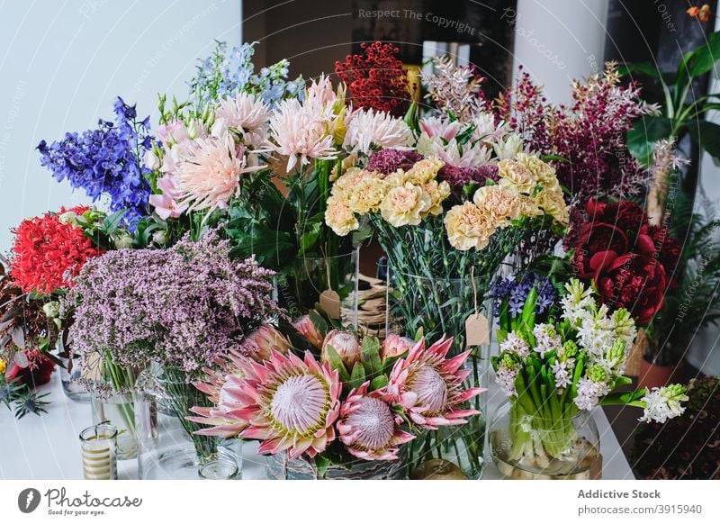 Verschiedene Pflanzen und Blumen im hellen Blumenladen geblümt Werkstatt sortiert verschiedene Salon Laden verkaufen farbenfroh Flora Blütezeit Blumenstrauß