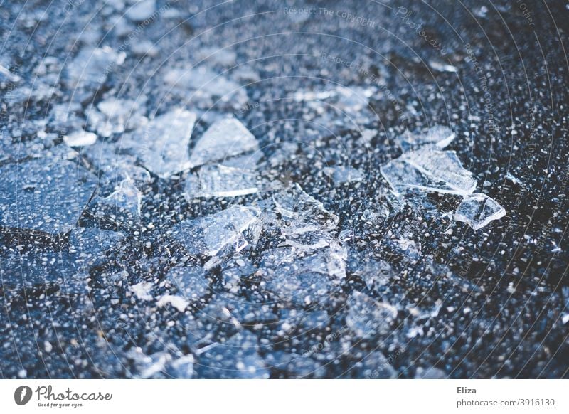 Eissplitter auf dem Boden gebrochen Glas kalt gefroren Splitter Winter blau eiskalt Strukturen & Formen Frost kaputt Scherben