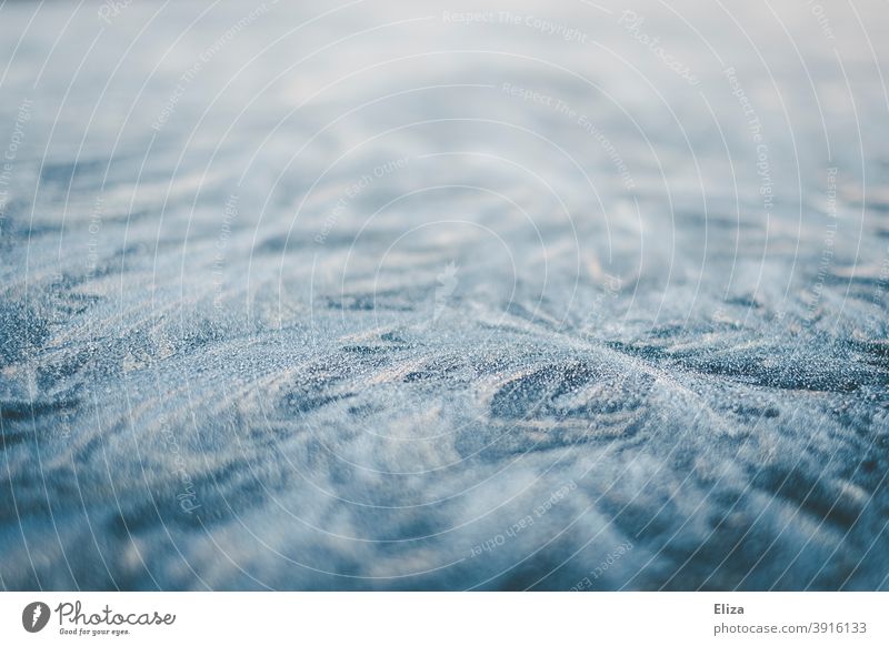Frostige Eisblumen im Winter frostig kühl Muster schön gefroren Kristallstrukturen kalt Eiskristall blau weiß