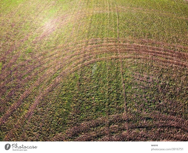 Muster aus Traktorspuren auf einer grünen Wiese Bereich Flug Hintergrund oben Luftaufnahme Vogelschau Hubschrauber Textfreiraum Drohnenflug Feld grüne Wiese