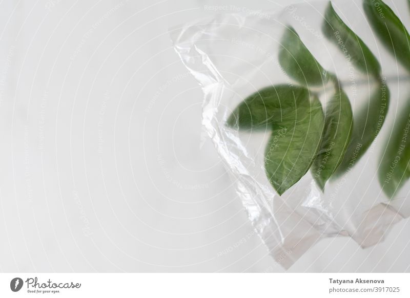 Pflanzenblätter in Plastiktüte Tasche Kunststoff Verschmutzung Umwelt Problematik umgebungsbedingt wiederverwerten Müll Abfall weiß Konzept Blätter grün