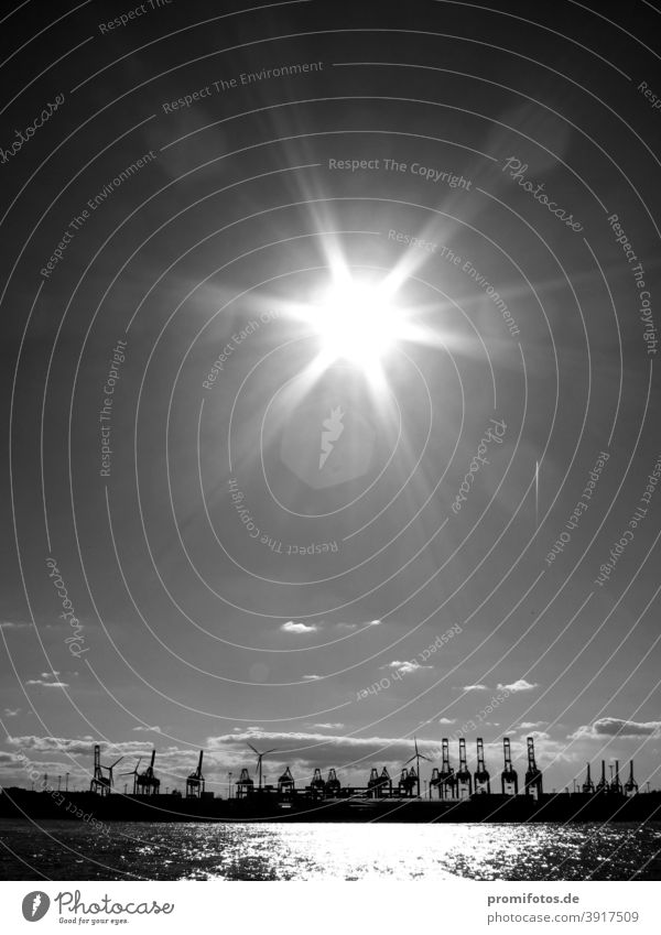 Sonnenschein über dem Hamburger Hafen. Foto: Alexander Hauk sonnenschein außenaufnahme Schwarzweißfoto Himmel Sonnenlicht Wirtschaft TTIP Freihandelsabkommen