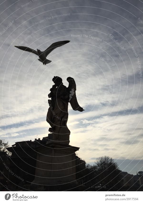 Engelsfigur mit Möwe im Gegenlicht in Rom. Foto: Alexander Hauk Vogel rom Italien gegenlicht himmel blau schwarz Figur steinfigur flug tier Tourismus urlaub