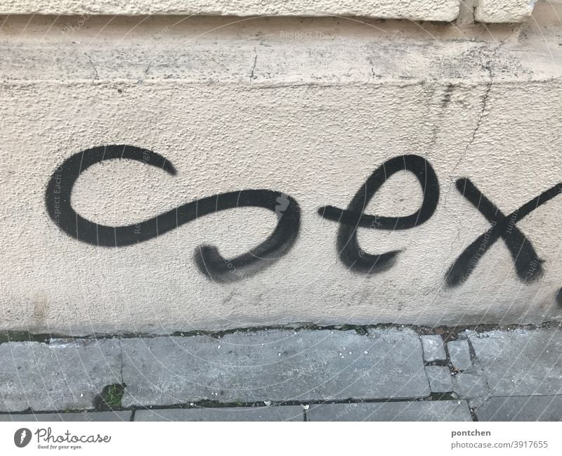Sex steht als Graffiti auf einer Hausfassade. wort graffiti jugendkultur schmiererei Wand Buchstaben Mauer Geschlechtsverkehr Text
