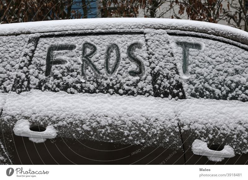 Frost winter season Text abstrakt Hintergrund schön blau hell Auto Nahaufnahme kalt Kristall Design Blumen Deutsch Glas Eis Inschrift Januar natürlich Muster