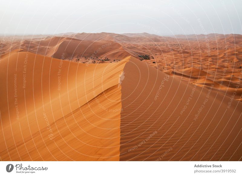 Sanddüne in der Wüste Düne wüst Marokko sonnig tagsüber Landschaft Natur trocknen winken heiß warm erwärmen trocken niemand Windstille ruhig Gelassenheit