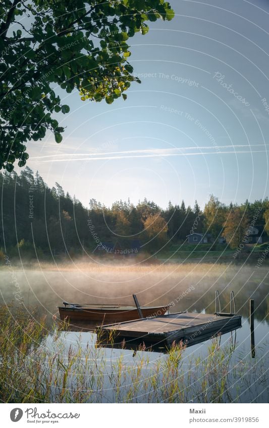 Boot im See Weitwinkel Starke Tiefenschärfe Kontrast Silhouette Außenaufnahme mehrfarbig Farbfoto Abenteuer Natur Umwelt Landschaft Schweden Nebelschleier