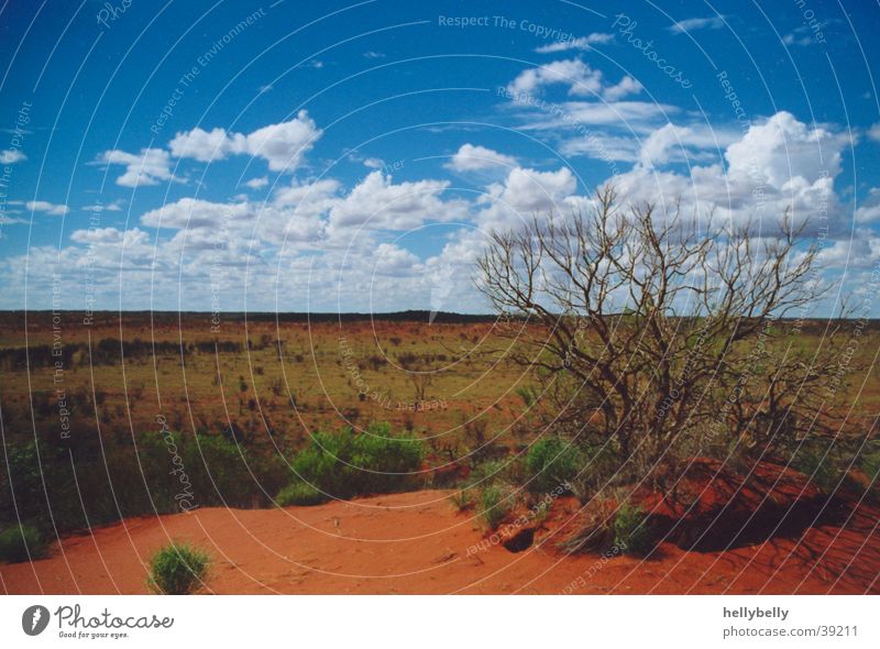 outback Outback Australien Wüste dünn roter sand Ferne