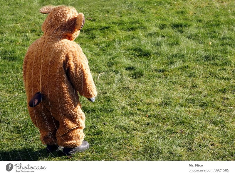 Kleiner Bär Tier Kostüm verkleidet Wildtier Fell Karneval Karnevalskostüm Kindheit spass verkleiden Wiese Gras Rückansicht Teddybär braun kuschlig Kuscheltier