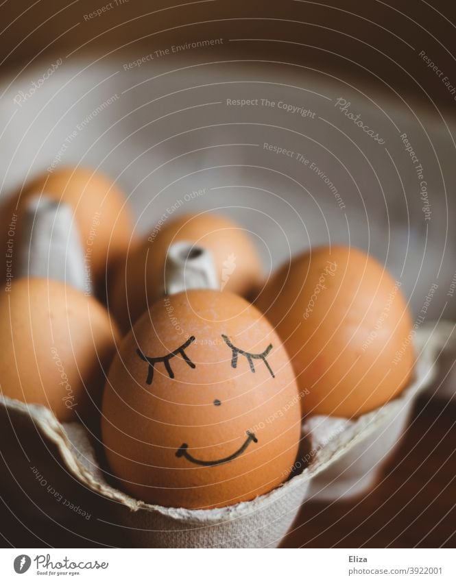 Ei mit aufgemaltem Gesicht im Eierkarton. Ostern. lächelnd osterdekoration Osterei braun zufrieden glücklich