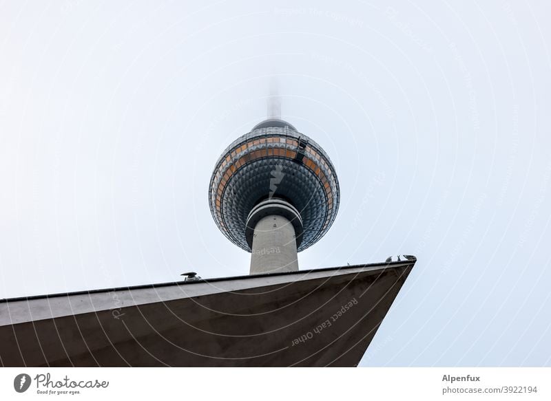 beliebte Ecke Berlins Fernsehturm Berliner Fernsehturm Architektur Alexanderplatz Berlin-Mitte Turm Himmel Außenaufnahme Bauwerk Stadtzentrum Sehenswürdigkeit