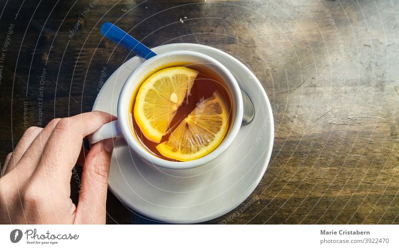 Warmer Honig-Zitronen-Tee, ein natürliches Hausmittel bei Erkältung und Grippe Grippemittel Naturmedizin Alternativmedizin Zitronentee Draufsicht